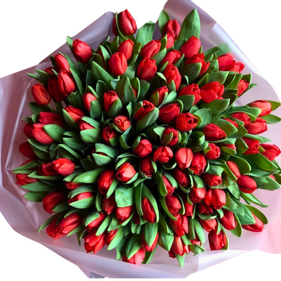 101 fire tulip