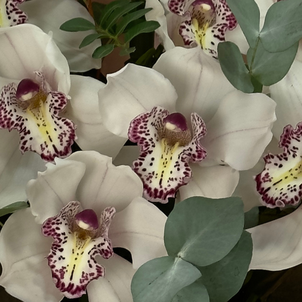 Bouquet of 9 orchids with eucalyptus
